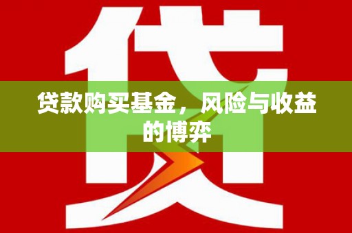 龙沙贷款购买基金，风险与收益的博弈
