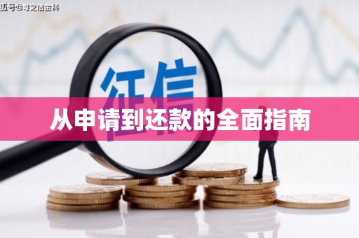 龙沙从申请到还款的全面指南