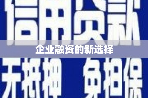 龙沙企业融资的新选择