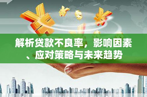龙沙解析贷款不良率，影响因素、应对策略与未来趋势