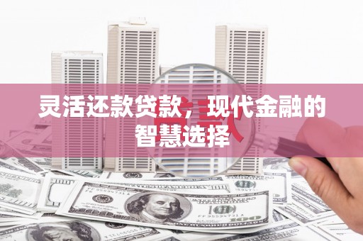 龙沙灵活还款贷款，现代金融的智慧选择