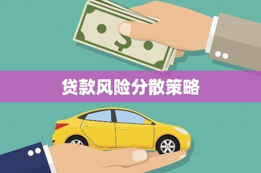 龙沙贷款风险分散策略