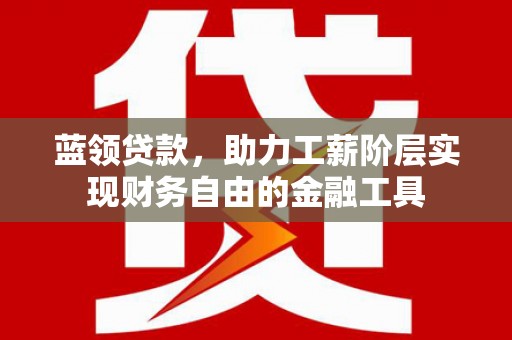 龙沙蓝领贷款，助力工薪阶层实现财务自由的金融工具