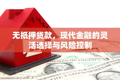 龙沙无抵押贷款，现代金融的灵活选择与风险控制