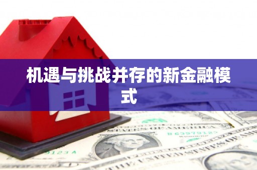 龙沙机遇与挑战并存的新金融模式