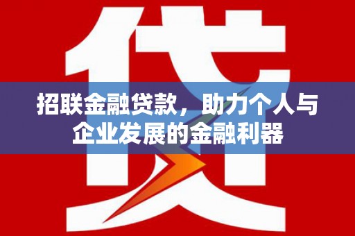 龙沙招联金融贷款，助力个人与企业发展的金融利器