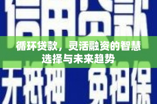 龙沙循环贷款，灵活融资的智慧选择与未来趋势
