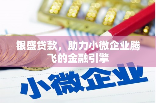 龙沙银盛贷款，助力小微企业腾飞的金融引擎