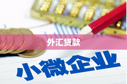 龙沙外汇贷款