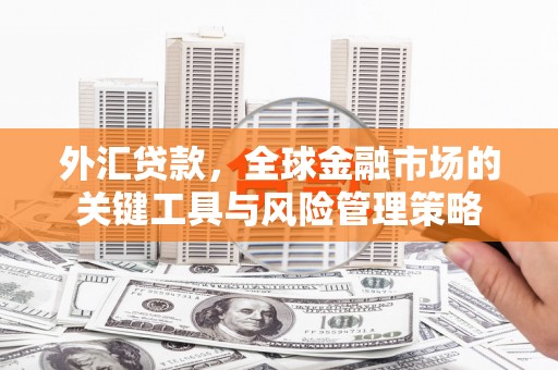龙沙外汇贷款，全球金融市场的关键工具与风险管理策略