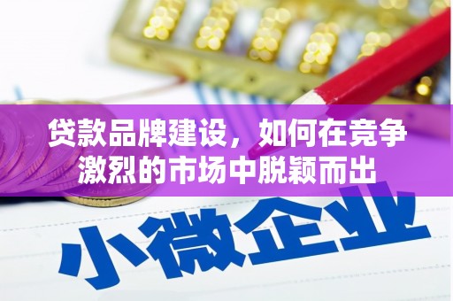 龙沙贷款品牌建设，如何在竞争激烈的市场中脱颖而出