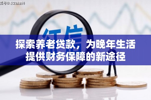 龙沙探索养老贷款，为晚年生活提供财务保障的新途径