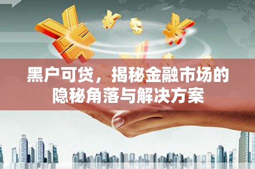 龙沙黑户可贷，揭秘金融市场的隐秘角落与解决方案