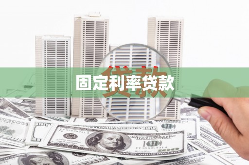 龙沙固定利率贷款