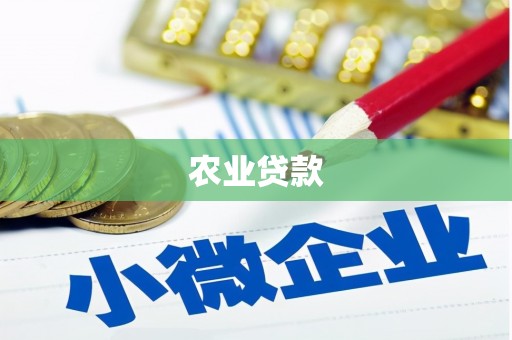 龙沙农业贷款