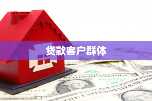 龙沙贷款客户群体
