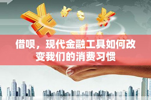 龙沙借呗，现代金融工具如何改变我们的消费习惯