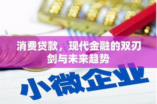 龙沙消费贷款，现代金融的双刃剑与未来趋势
