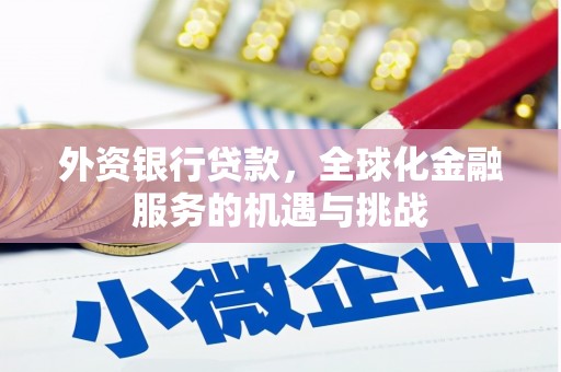 龙沙外资银行贷款，全球化金融服务的机遇与挑战