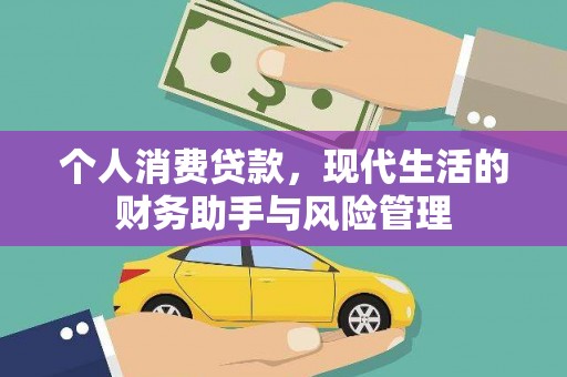 龙沙个人消费贷款，现代生活的财务助手与风险管理