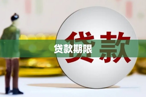 龙沙贷款期限