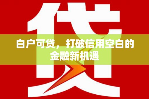 龙沙白户可贷，打破信用空白的金融新机遇