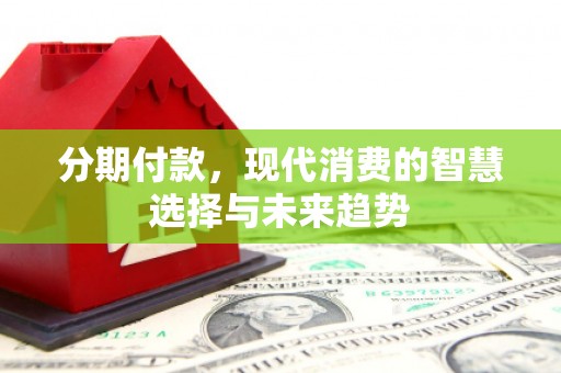 龙沙分期付款，现代消费的智慧选择与未来趋势
