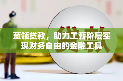 龙沙蓝领贷款，助力工薪阶层实现财务自由的金融工具