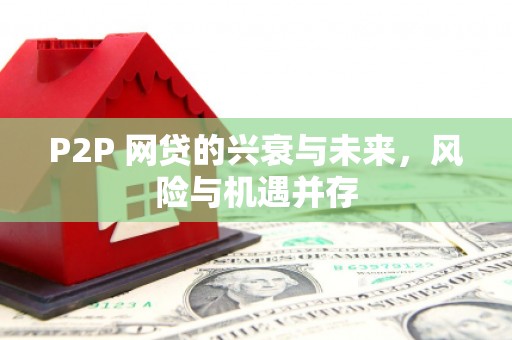 龙沙P2P 网贷的兴衰与未来，风险与机遇并存