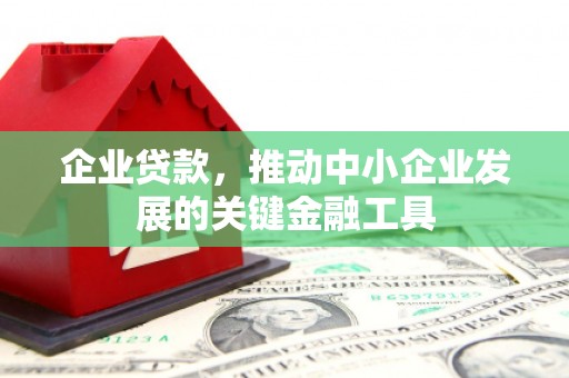龙沙企业贷款，推动中小企业发展的关键金融工具