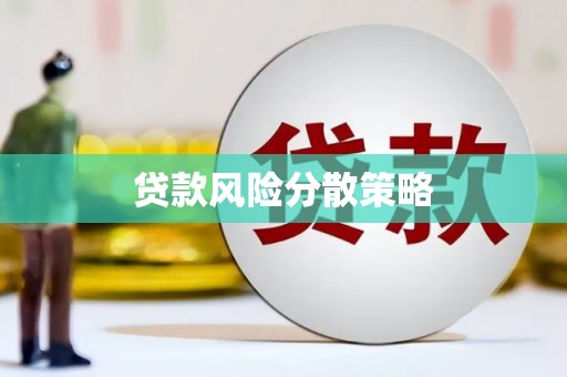 龙沙贷款风险分散策略