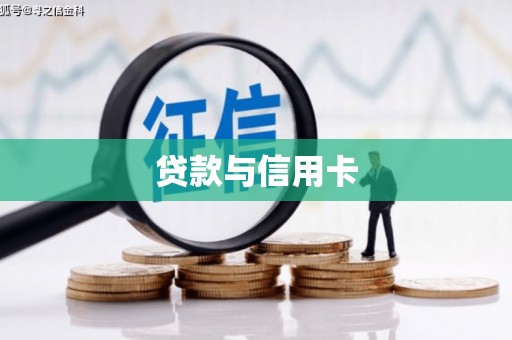 龙沙贷款与信用卡