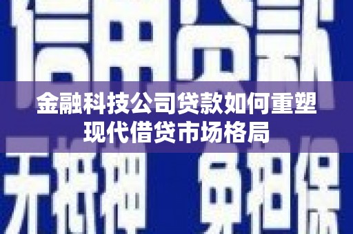 龙沙金融科技公司贷款如何重塑现代借贷市场格局