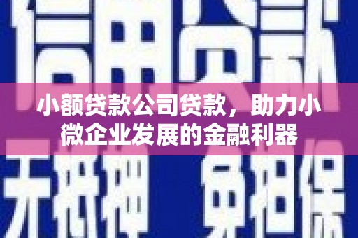 龙沙小额贷款公司贷款，助力小微企业发展的金融利器