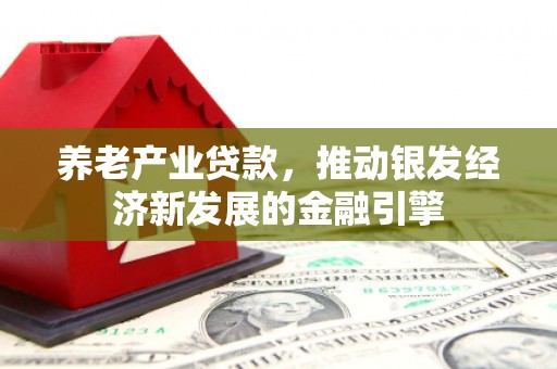 龙沙养老产业贷款，推动银发经济新发展的金融引擎