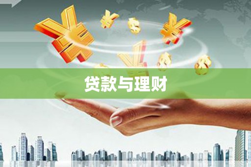 龙沙贷款与理财