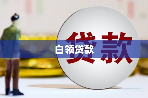 龙沙白领贷款