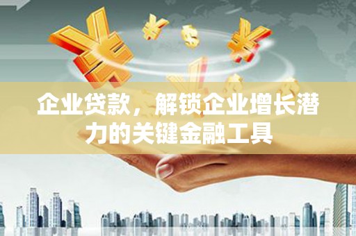 龙沙企业贷款，解锁企业增长潜力的关键金融工具