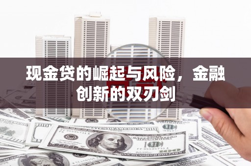 龙沙现金贷的崛起与风险，金融创新的双刃剑