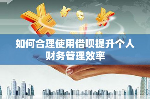 龙沙如何合理使用借呗提升个人财务管理效率