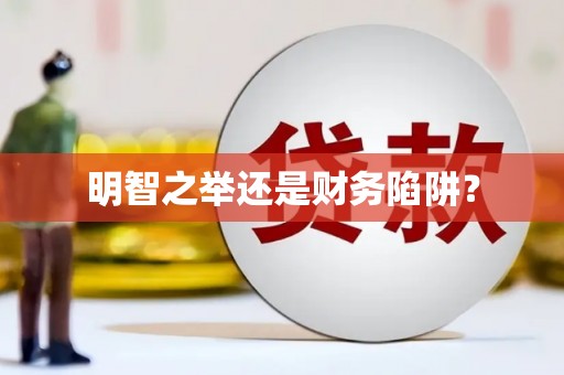 龙沙明智之举还是财务陷阱？