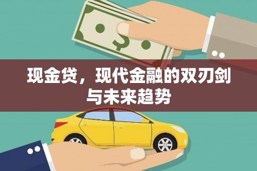 龙沙现金贷，现代金融的双刃剑与未来趋势