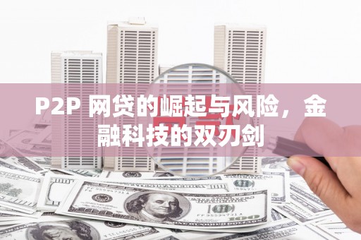 龙沙P2P 网贷的崛起与风险，金融科技的双刃剑