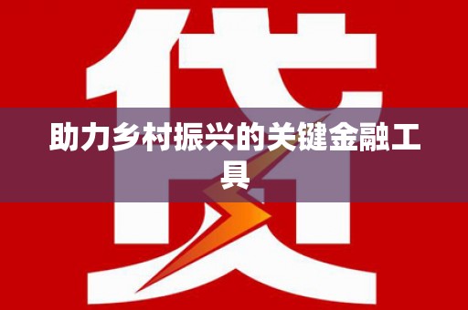 龙沙助力乡村振兴的关键金融工具