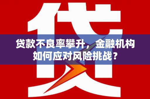 龙沙贷款不良率攀升，金融机构如何应对风险挑战？