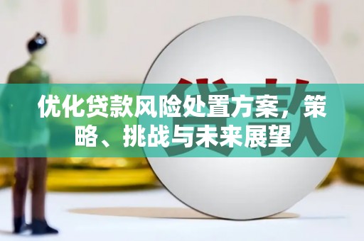 龙沙优化贷款风险处置方案，策略、挑战与未来展望
