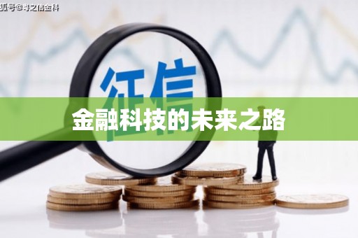 龙沙金融科技的未来之路