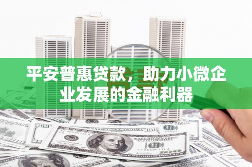 龙沙平安普惠贷款，助力小微企业发展的金融利器