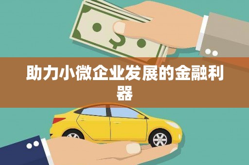 龙沙助力小微企业发展的金融利器