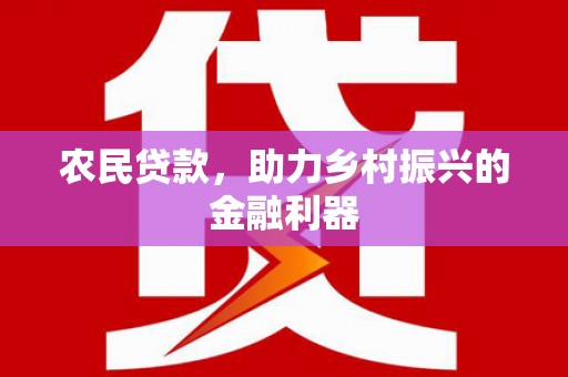 龙沙农民贷款，助力乡村振兴的金融利器
